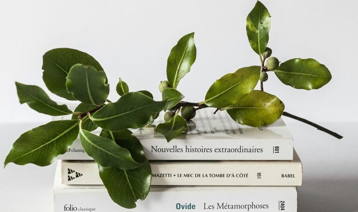 lecture de dale canergie