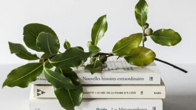 lecture de dale canergie